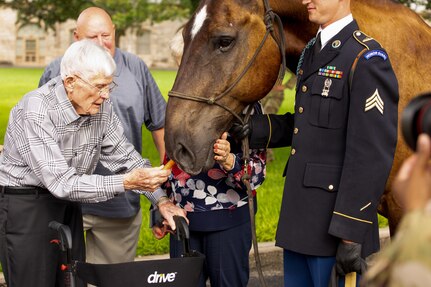 Man feeds carrot to horse.