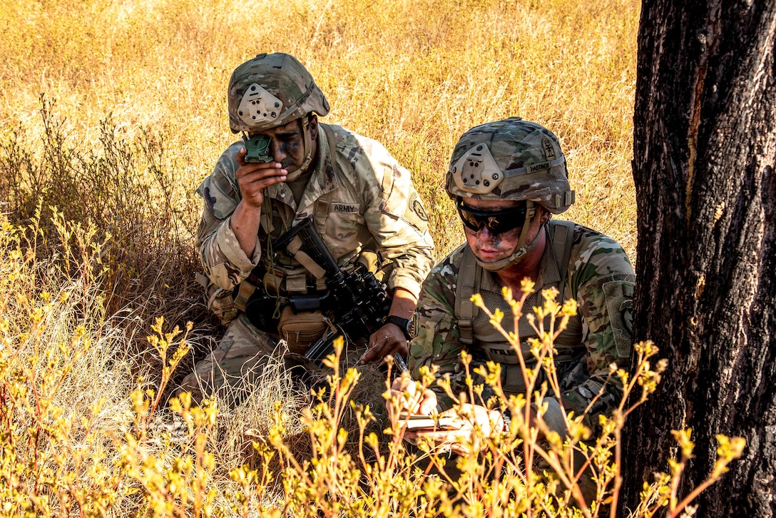 A soldier looks through a navigation device while another sketches while sitting amid yellow plants.