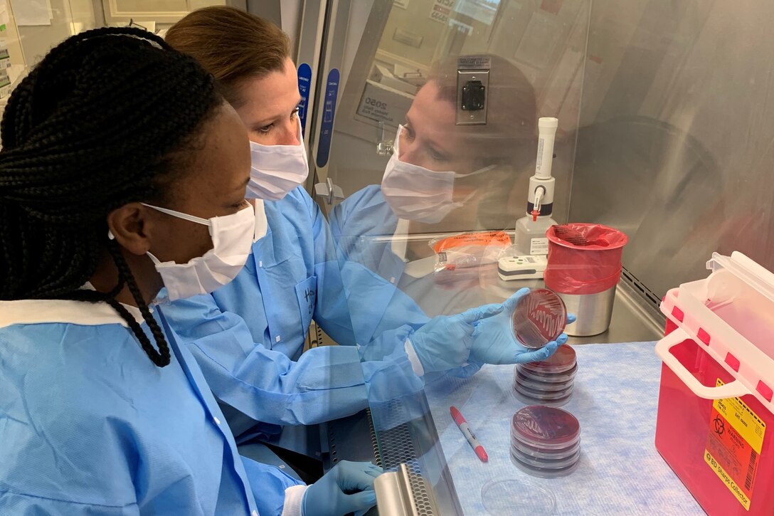 Two U.S. Army Medical Research Directorate-Georgia scientists examine a petri dish under a fume hood.