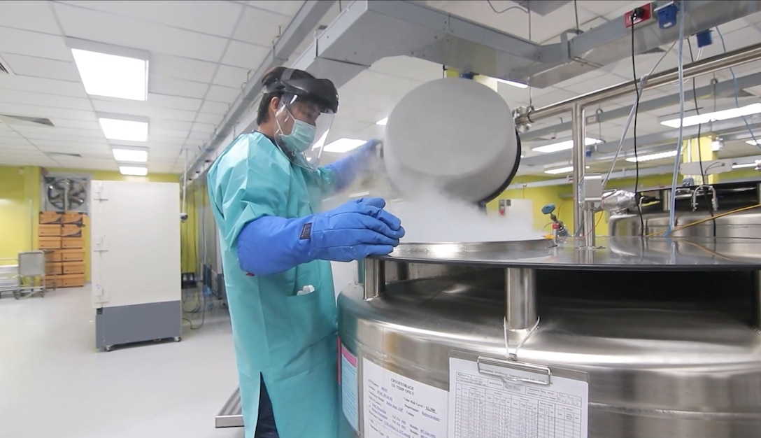 The Rerovirology Specimen Archiving Technician wearing appropriated personal protective equipment (PPE, laboratory gown, face shild, face mask and cryo gloves) conducts specimen inventory specimens stored within 80K Liquid Nitrogen Cryostorage tank.