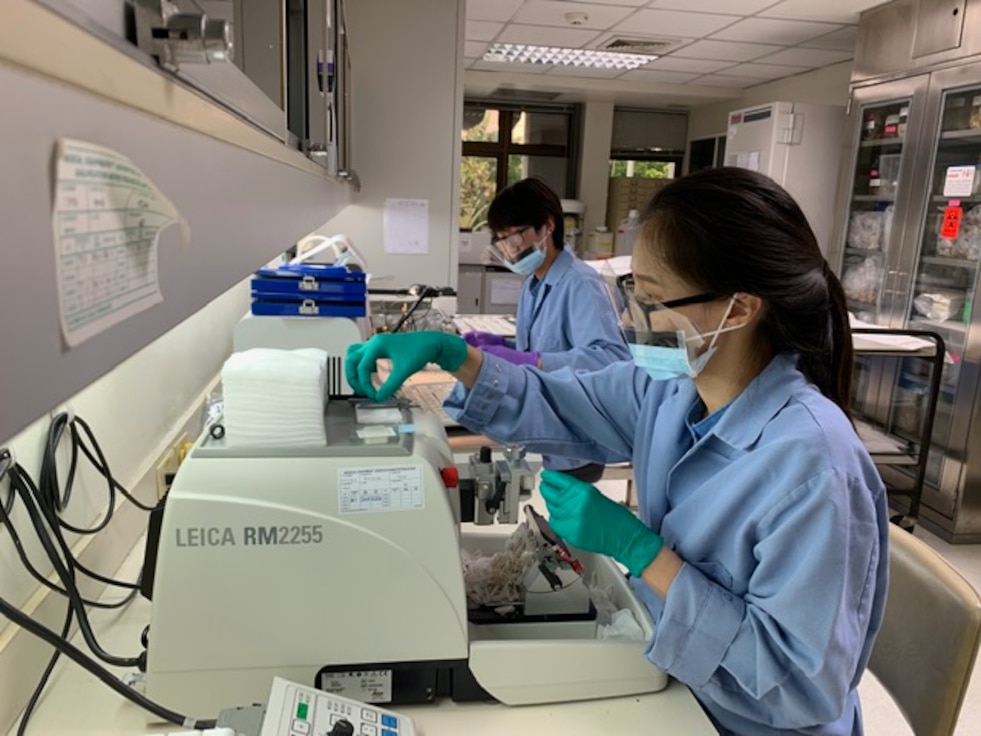 Two scientists in laboratory coats and face masks work at a bench with samples.