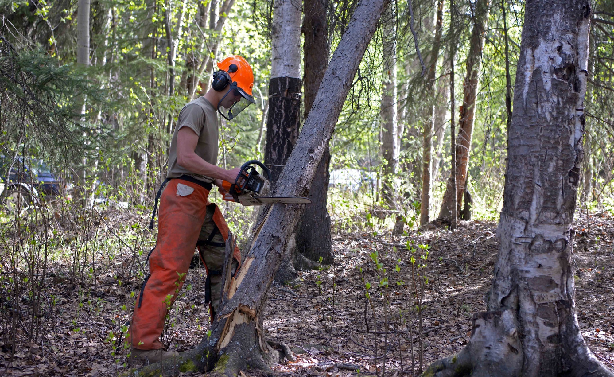A U.S. Air Force Airman assigned to the 354th Civil Engineer Squadron cuts a dead tree down during a troop training project May 26, 2021, at the Birch Lake Military Recreation Area, Alaska. The renovations to the area included upgrading eight cabins, grading roads, trimming trees, repainting and staining the main building, and installing new fire pits. (U.S. Air Force photo by Senior Airman Beaux Hebert)