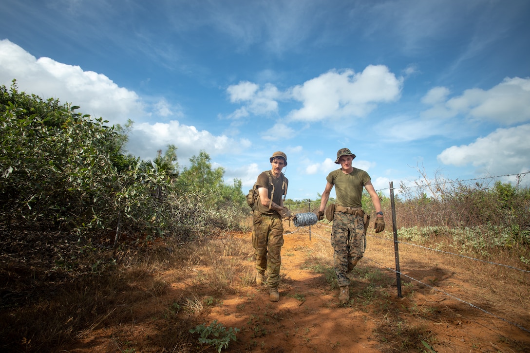 An Australian soldier and U.S. Marine hold wire and walk together near brush.