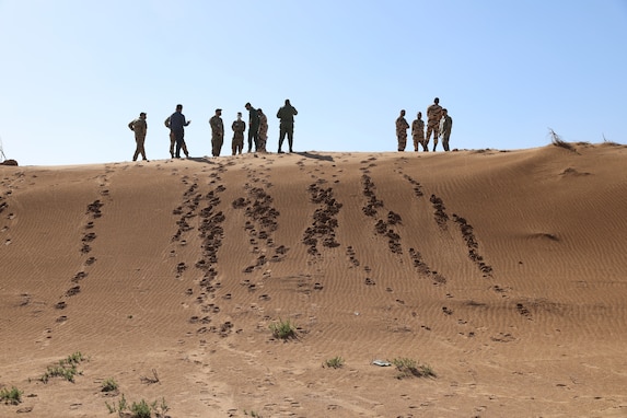 African Lion 21 exercise begins with 7,800 troops in Morocco, Tunisia, Senegal