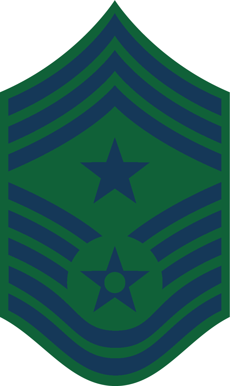 US AIR FORCE RANK E3 AIRMAN FIRST CLASS (1-1/16") Military Rank Pin P12696 E | UK