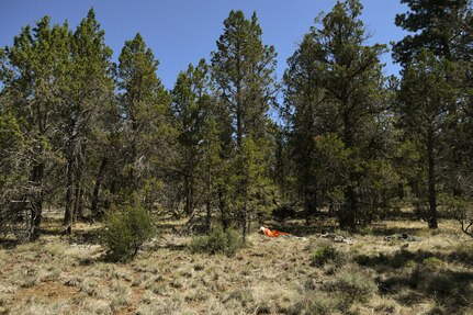 A mannequin simulates the difficulty of finding a lost pilot in the woods following an ejection scenario June 5, 2021, near Gerber Reservoir, Ore. The 173rd FW held a joint exercise with the Klamath County search and rescue team to practice finding a downed pilot in the woods.