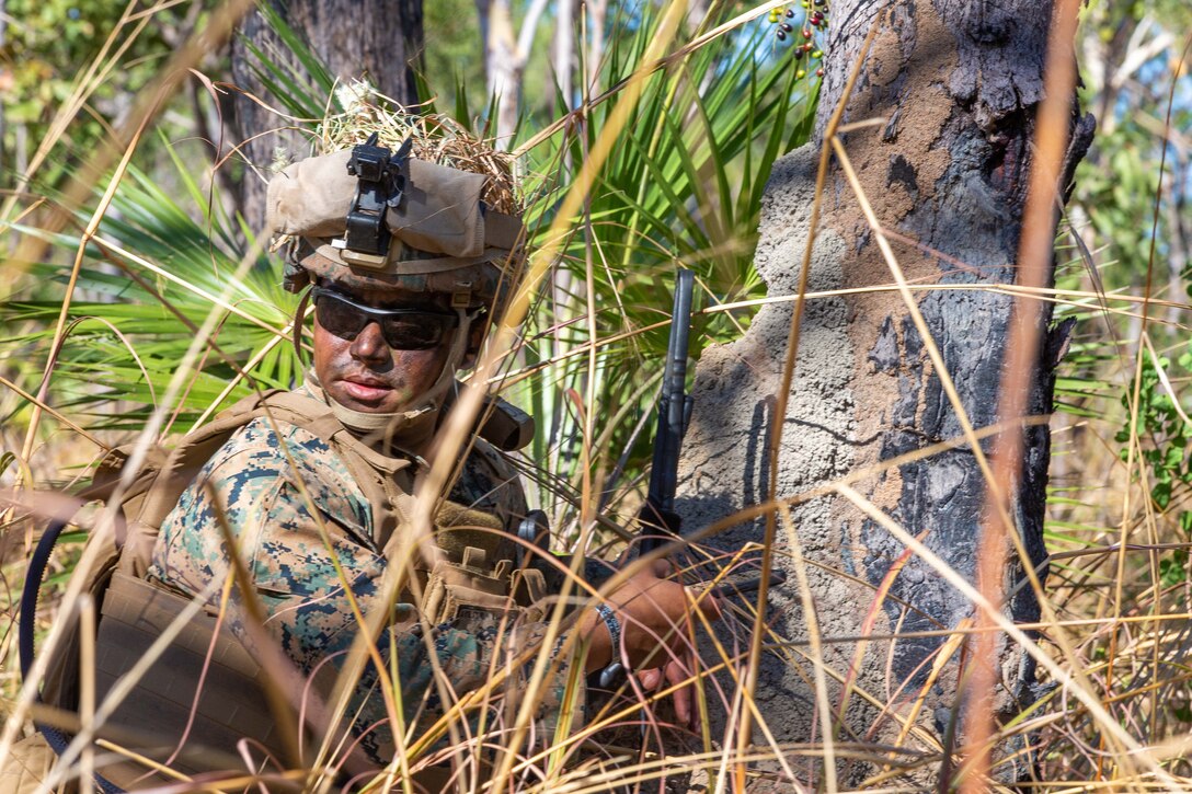 A Marine in camo and gear crouches near trees nd shrubs.