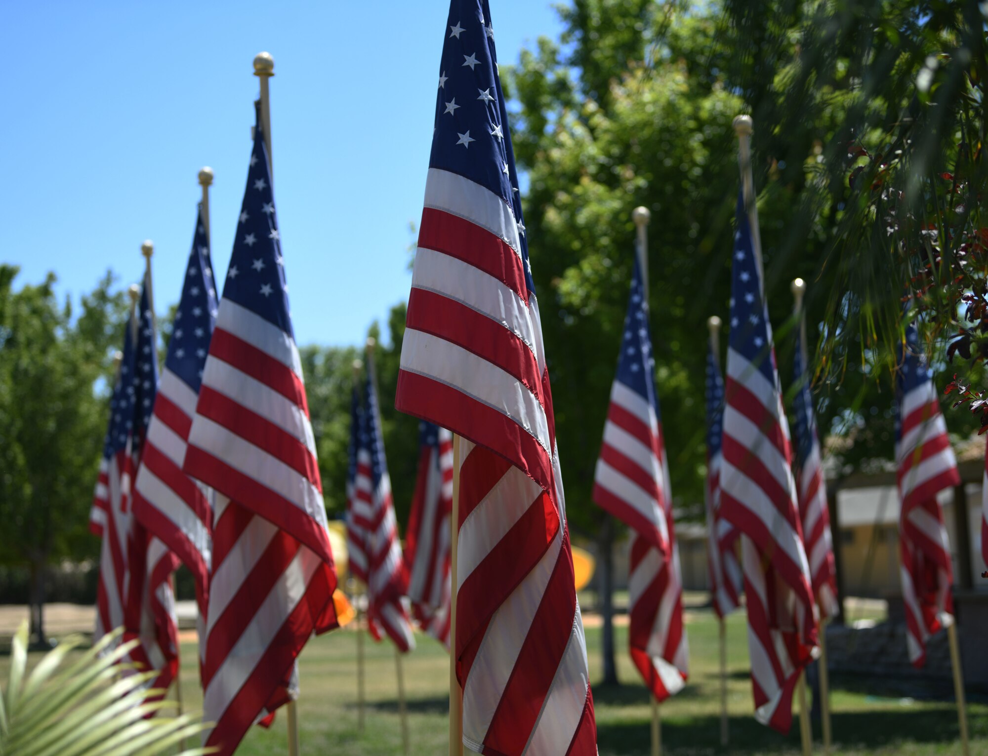 Happy Memorial Day! Today, we honor and remember those who sacrificed their lives keeping our nation safe.