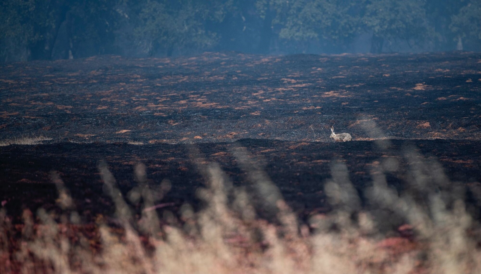 Airmen and families on Beale Air Force Base were struck with a real-world notification, directing residents to evacuate due to an approaching wildfire.