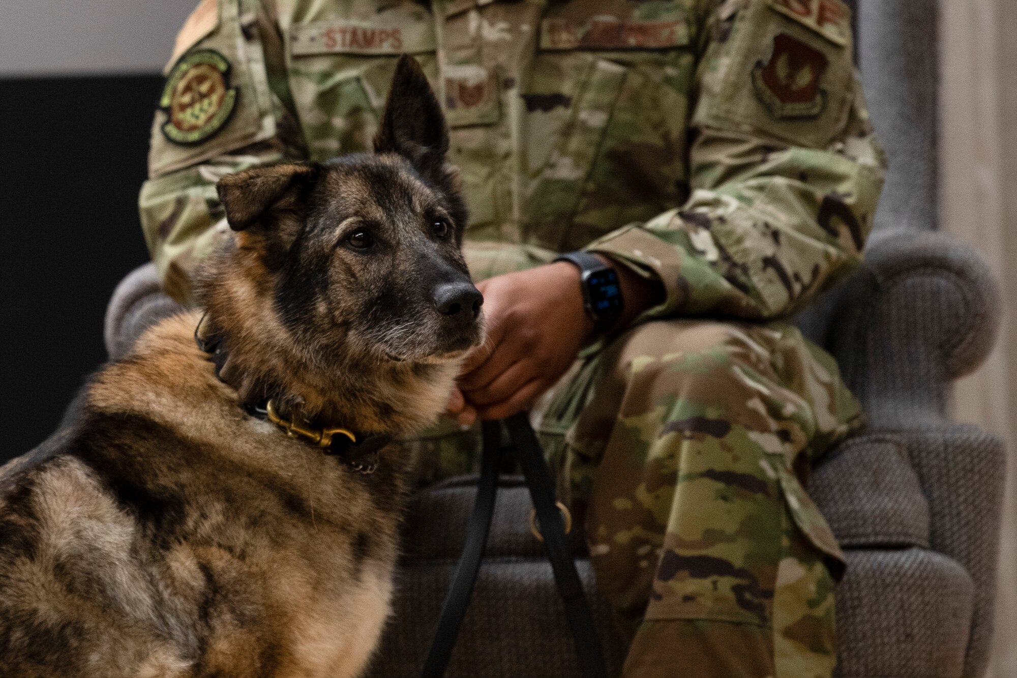 Photo of retiring military working dog with her handler.