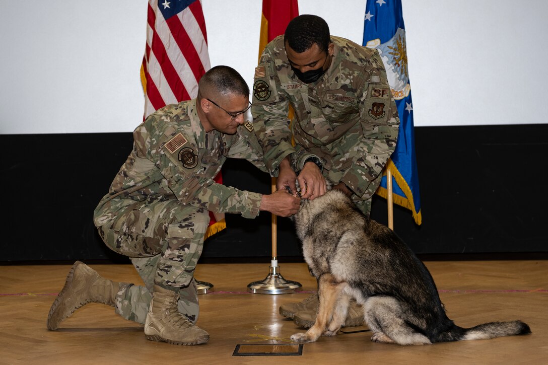 Photo of a military working dog retirement presentation.
