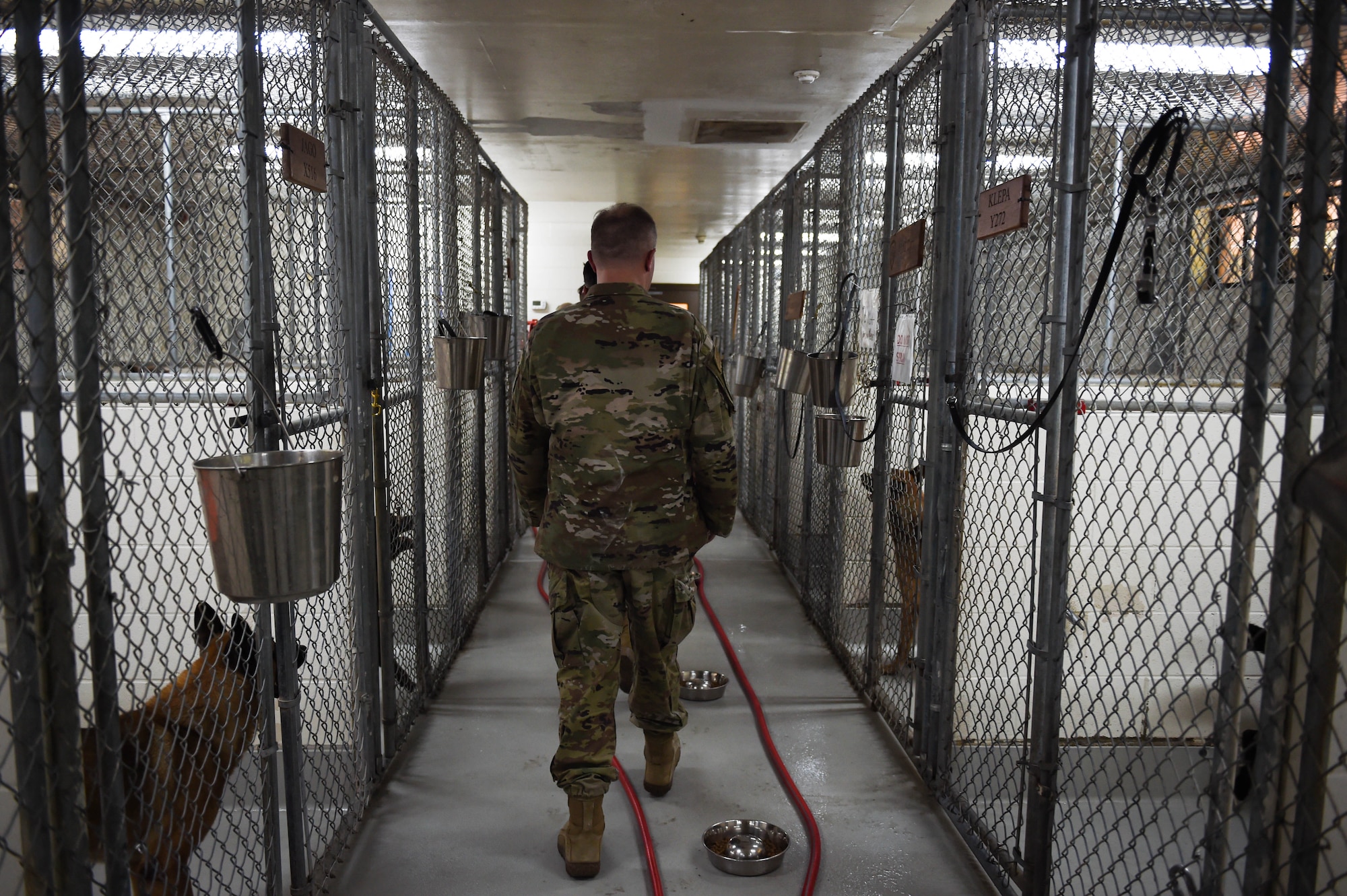 Military members walking through kennels