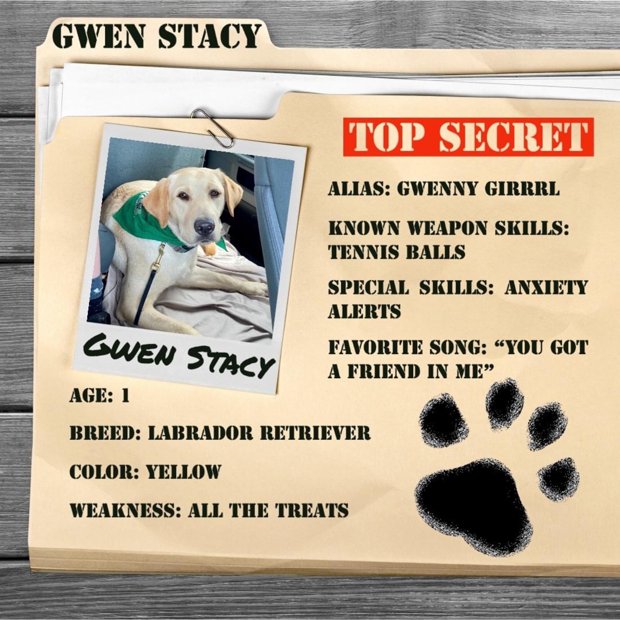 Photo of dog on envelope labeled top secret