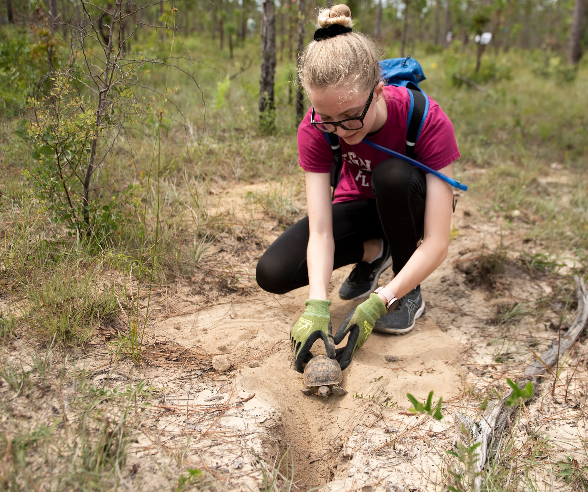 Tortoise release