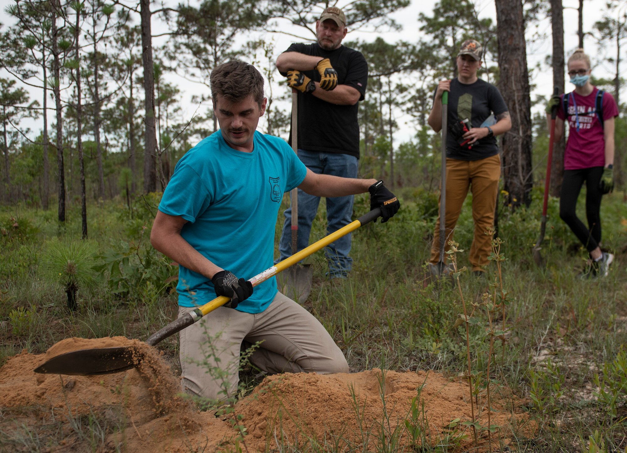 Tortoise release