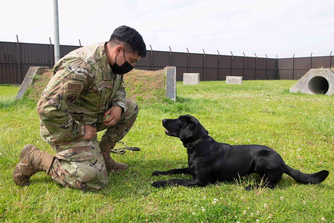 An airman kneels next to a dog.