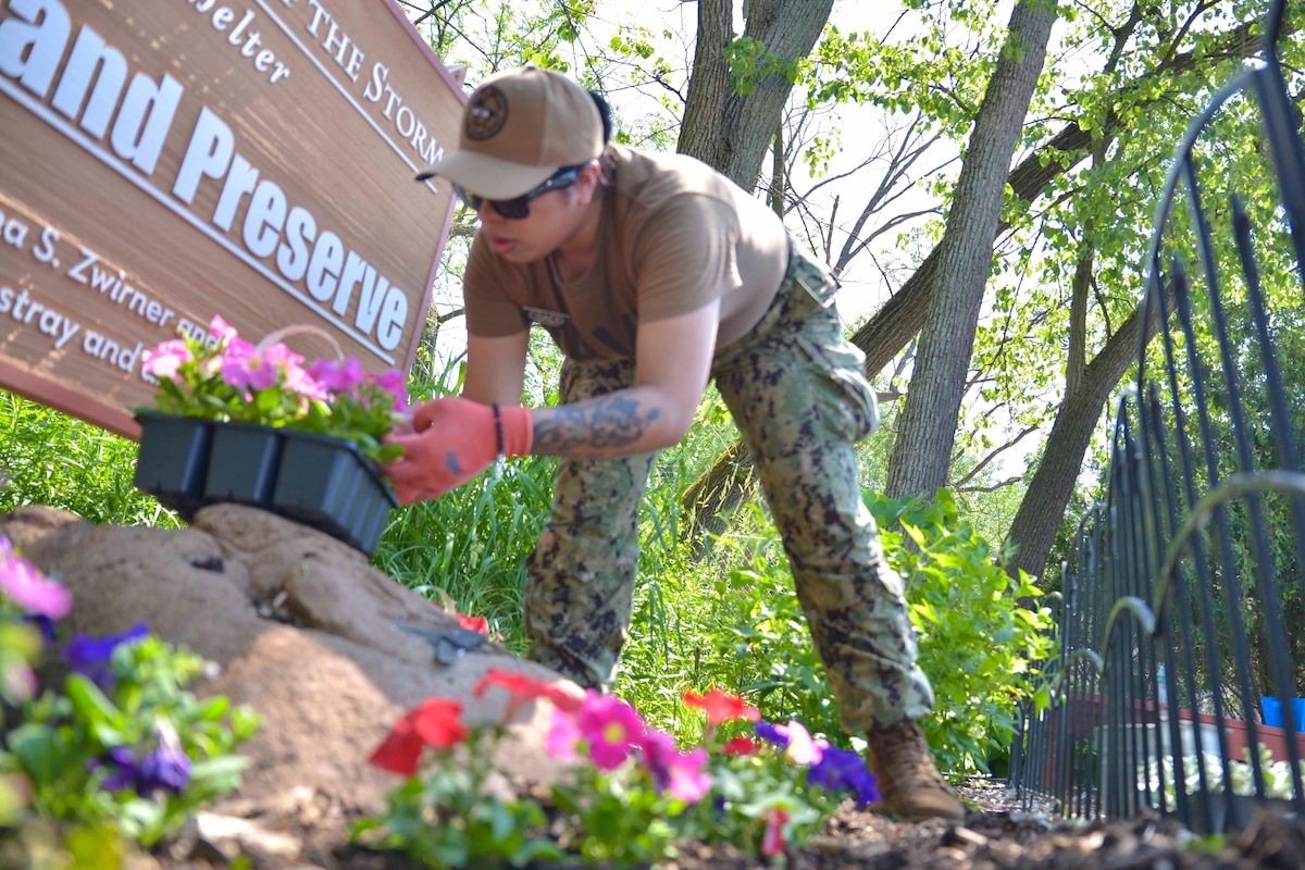 A sailor plants flowers into dirt.