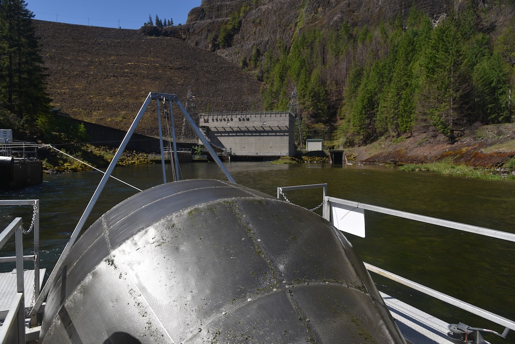 Corps contractors monitor screw traps downstream of Cougar Dam, May 28, 2021.

The water flow turns a large screw creating hydraulics, which keeps small fish from escaping the trap. 

These traps are collecting juvenile salmon after they pass through Lookout Point, Cougar and Big Cliff dams.

We’ve changed operations at these dams to help with downstream fish passage – or that’s the goal. These traps will give us insight into how well we’re doing.
