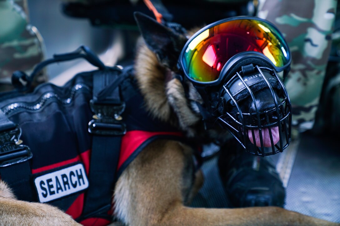 Mississippi Army National Guard conduct search and rescue training at