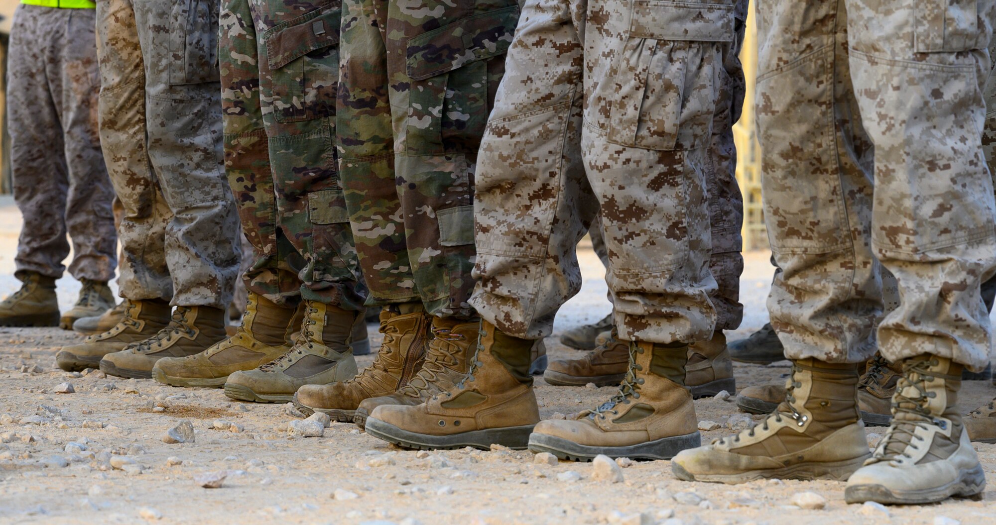 Air Force and Marine Corps personnel stand in formation before morning physical training.