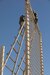 U.S. Army Staff Sgt. Anri Baril, a public affairs mass communication specialist with U.S. Army Central, reaches the top of a ladder while a safety spotter looks on during the U.S. Army Central 2021 Best Warrior Competition obstacle course event at Camp Buehring, Kuwait, June 21, 2021. Best Warrior competitors had to complete 10 obstacles that tested their mental and physical fortitude. (U.S. Army photo by Spc. Elizabeth Hackbarth, U.S. Army Central Public Affairs)