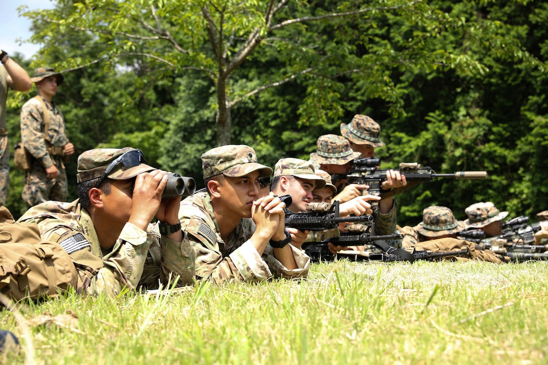 Soldiers and Marines use binoculars and man weapons while lying in a field.