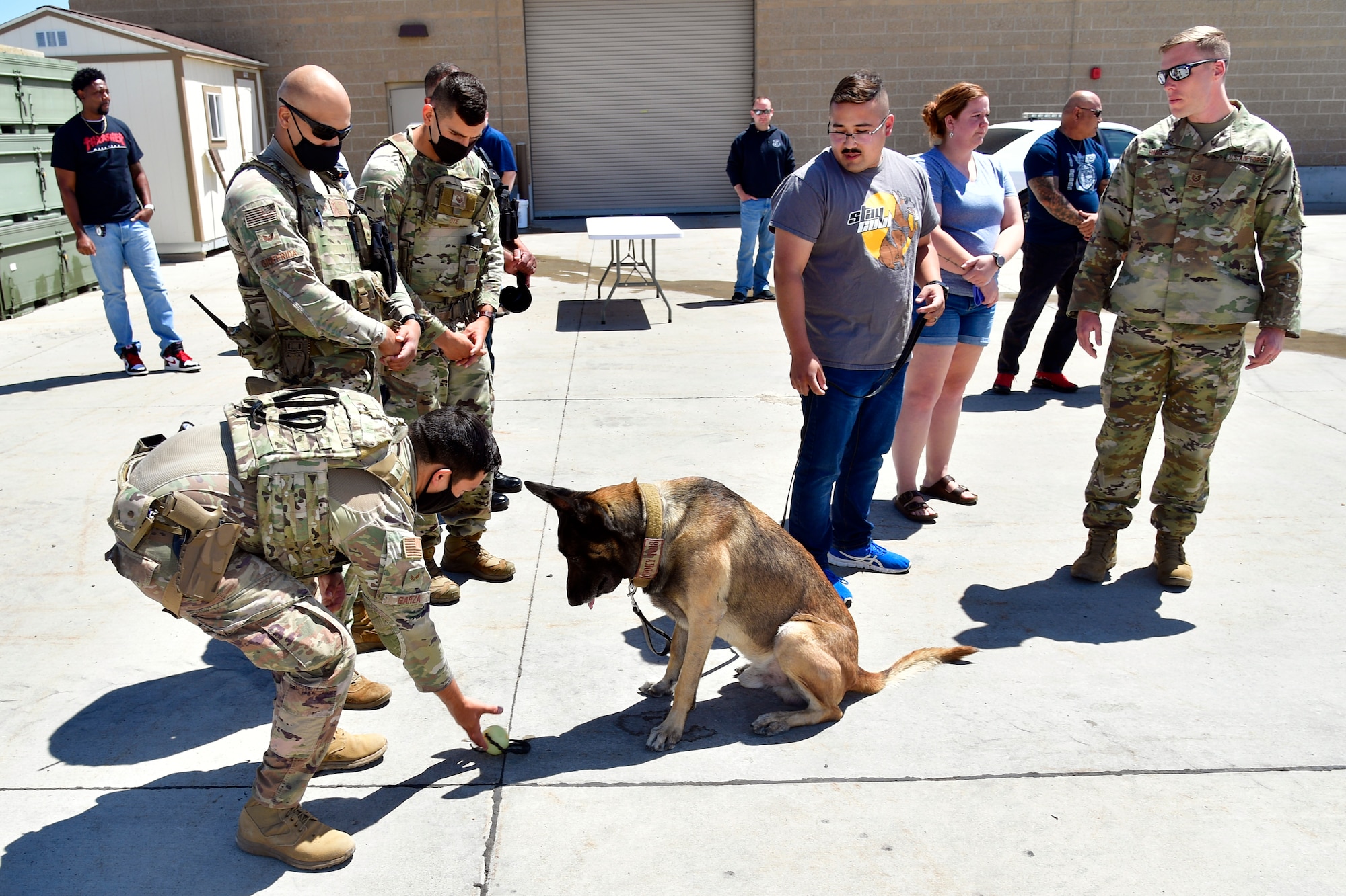 An Airman sets a ball down in front of retired military working dog Cvoky while others look on.