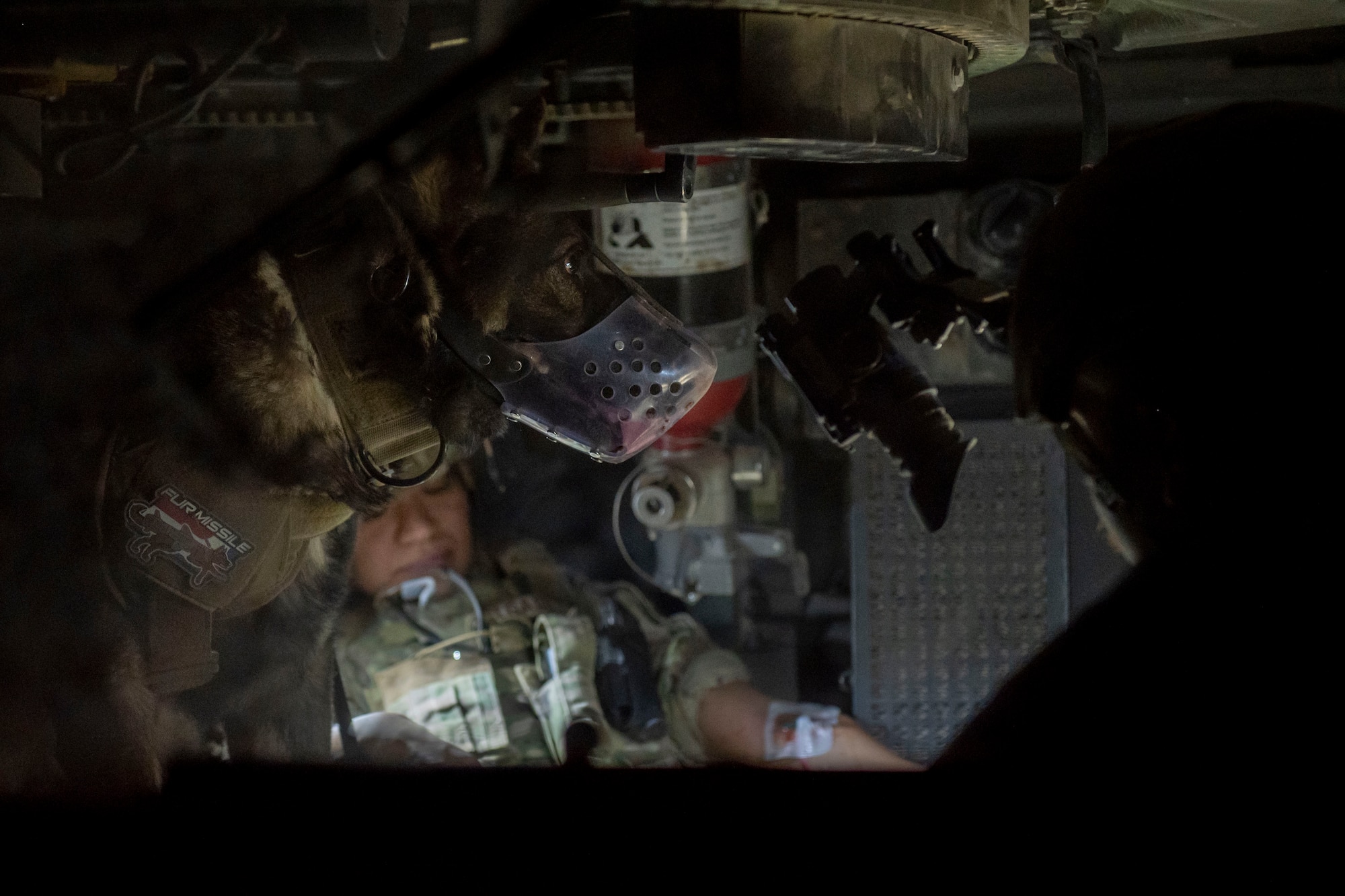 U.S. Air Force Staff Sgt. Maria Delgadillo, a military working dog handler with the 378th Expeditionary Security Forces Squadron, and her MWD, Rony, receive medical care during a quick response training event in blackout conditions at Prince Sultan Air Base, Kingdom of Saudi Arabia, June 12, 2021. PSAB Explosive Ordnance Disposal, Security Forces and Medical personnel participated in integrated training to bolster defensive capabilities and maintain readiness at all times. (U.S. Air Force photo by Staff Sgt. Caleb Pavao)