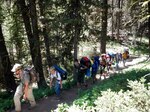 In recent years visitation has surged across public lands. The Forest Service has recorded an increase of 20% year over year, with the high point in 2020. More visitation has contributed to more search and rescue cases on national forests and grasslands across the county. (USDA Forest Service photo)