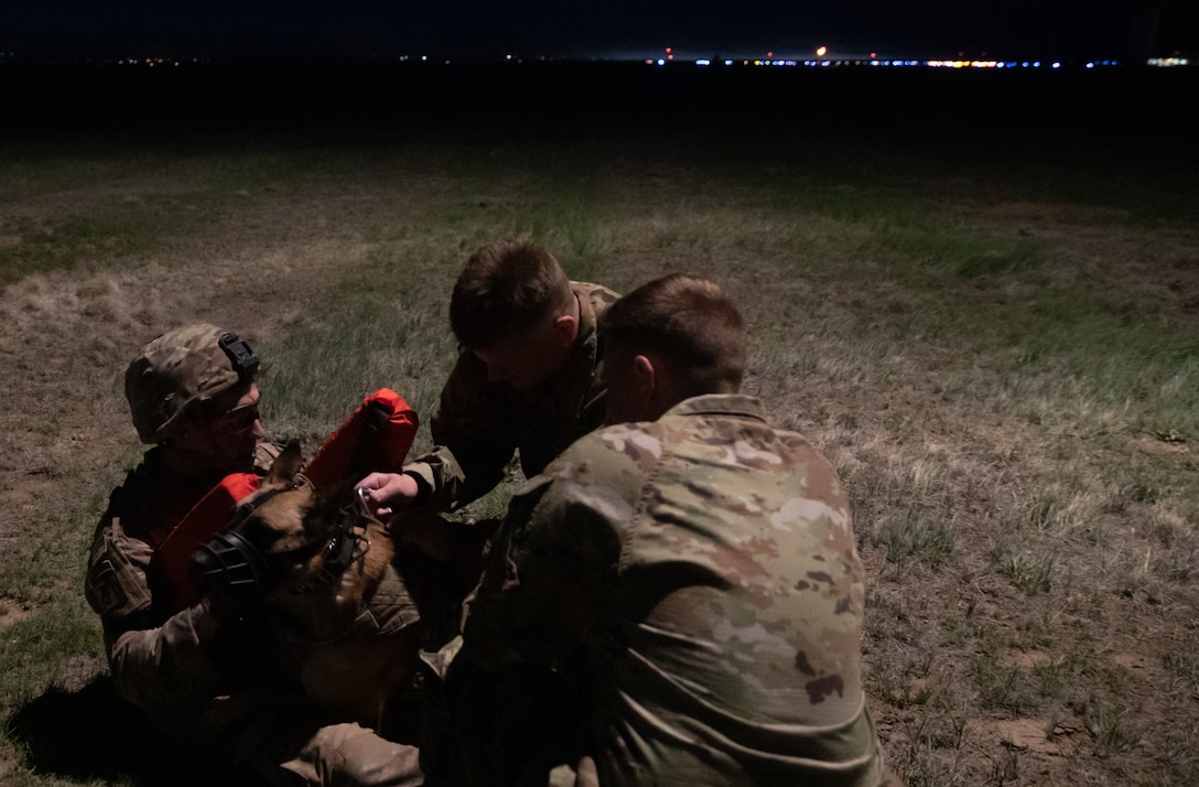 Army Reserve medevac company teaches military working dog handlers hoist procedures