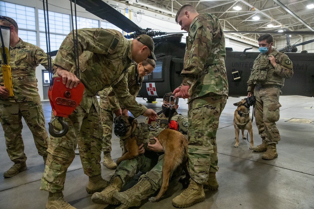 Army Reserve medevac company teaches military working dog handlers hoist procedures