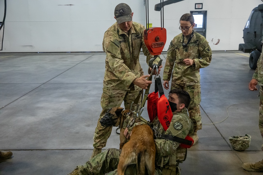 Army Reserve medevac company teaches military working dog handlers hoist procedures