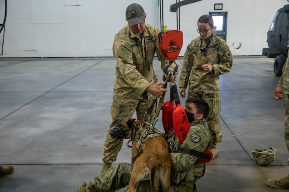 Army Reserve medevac company teaches military working dog handlers hoist procedures