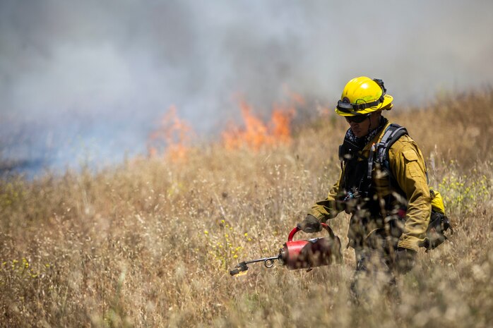A firefighter with the Camp Pendleton Fire Department ignites dry vegetation with a drip torch during a prescribed burn in the 52 Area of Marine Corps Base Camp Pendleton, California, May 15, 2021. Over two days, CPFD burned a total of 120 acres. CPFD conducts prescribed burns as a preventative measure to reduce the risk of large wildland fires. Each year, CPFD and partnering agencies cut over 200 acres of firebreaks and burn thousands of acres to help prevent fires aboard the base. (U.S. Marine Corps photo by Lance Cpl. Drake Nickels)