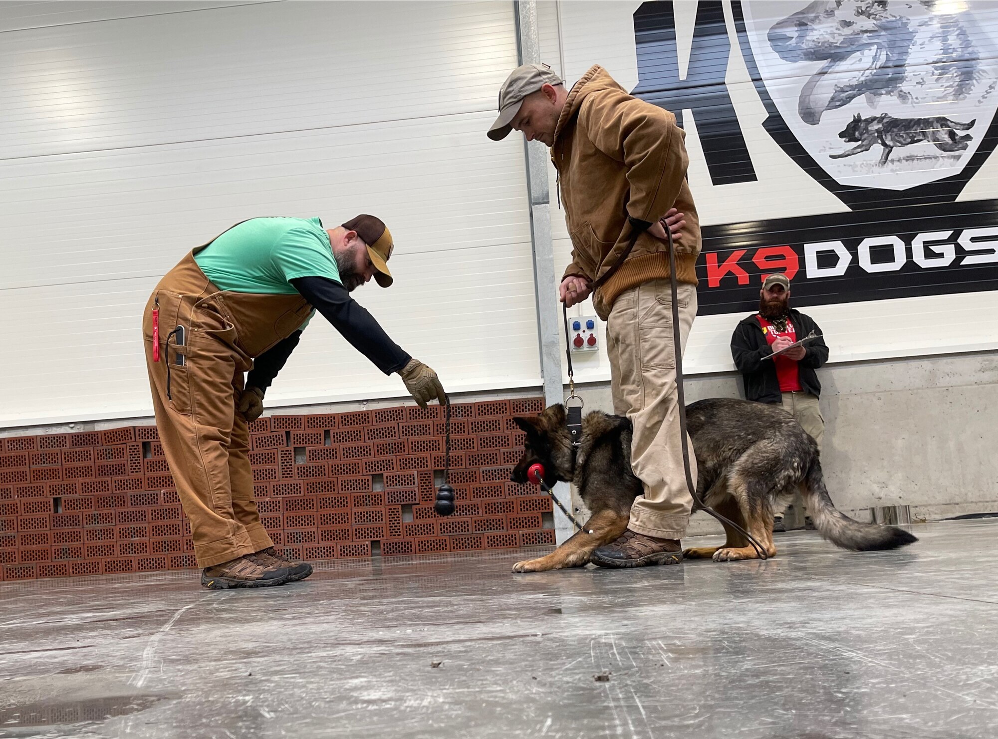 Man holds item in front of dog during testing.