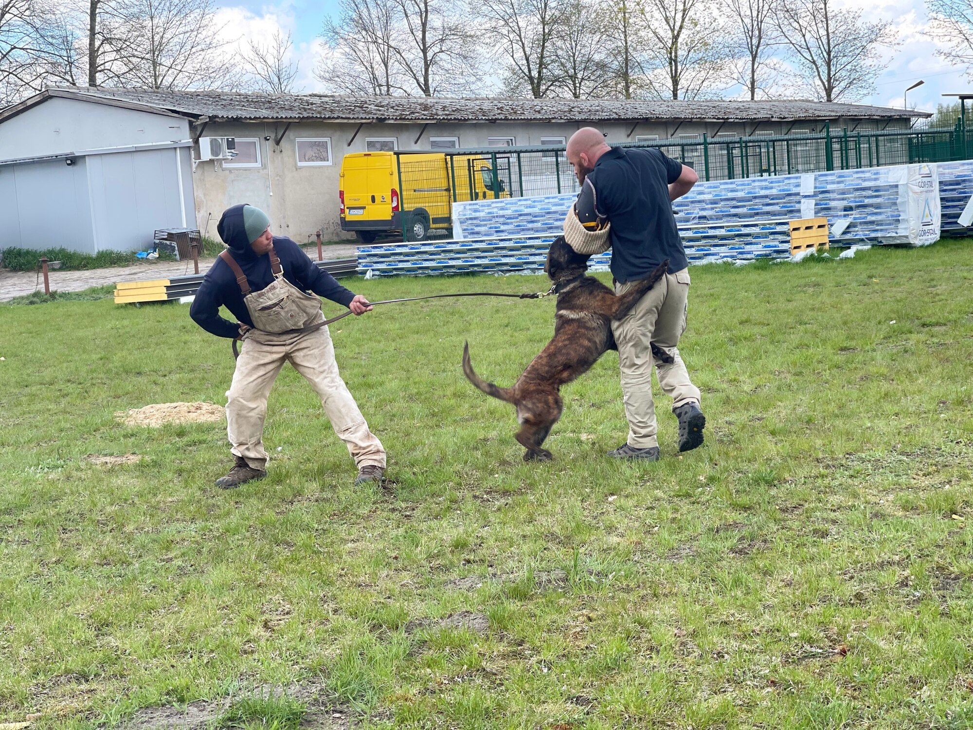 Dog attacks man in protective gear