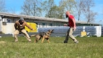 Man holds dog back on chain while another man approaches dog.