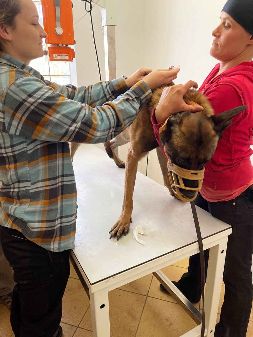 One woman holds dog while another woman vaccinates the dog.