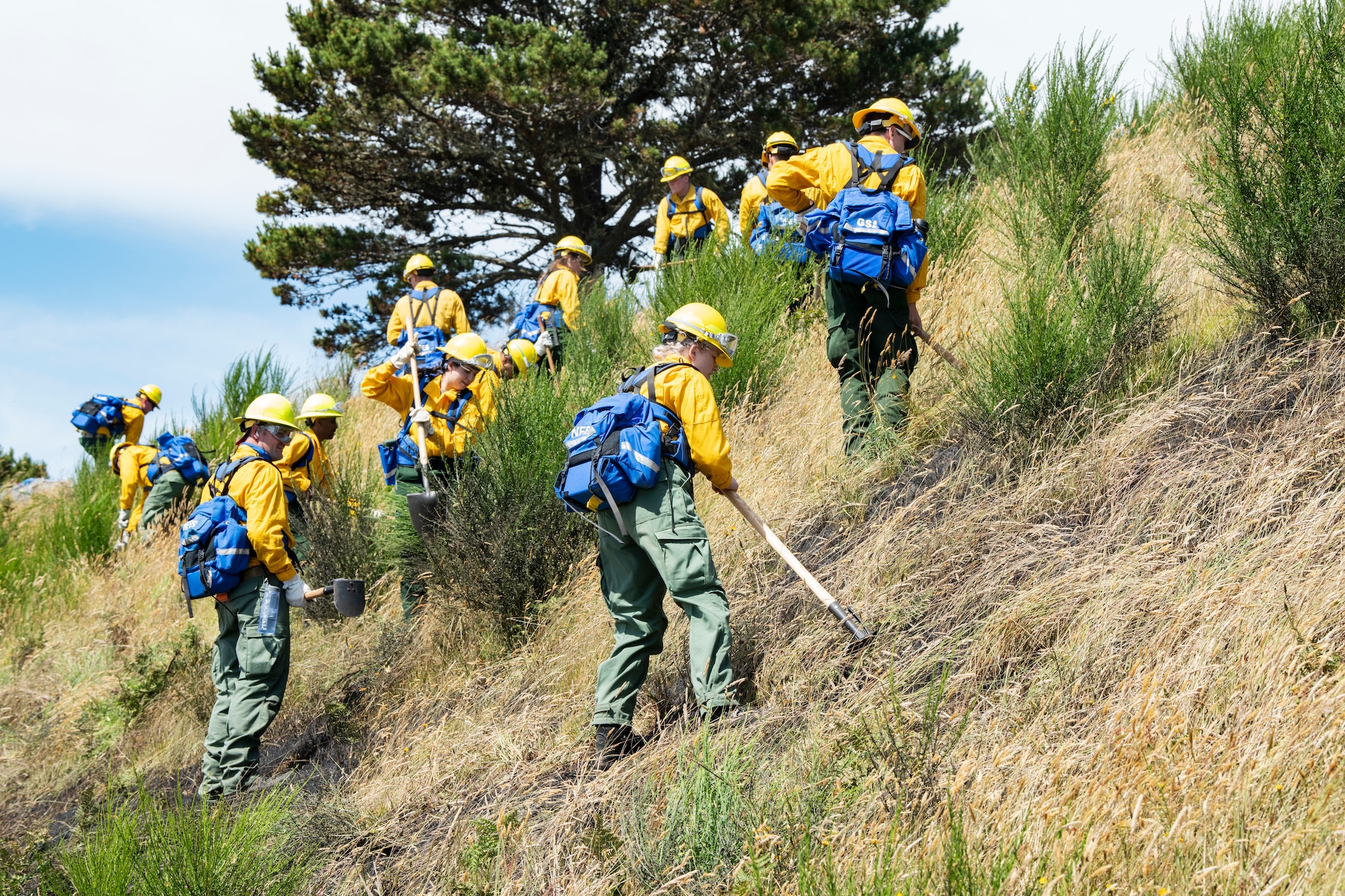 Oregon National Guard Citizen-Soldiers and Airmen use hand tools during initial “Red Card” certification training held at Camp Rilea, Warrenton, Ore., June 24, 2021.  The state’s coordinated and comprehensive wildfire suppression efforts include training more than 110 Oregon National Guardsmen as Wildland firefighters during five days of training from June 21-25, for the upcoming fire season. (National Guard photo by Master Sgt. John Hughel, Oregon Military Department Public Affairs)