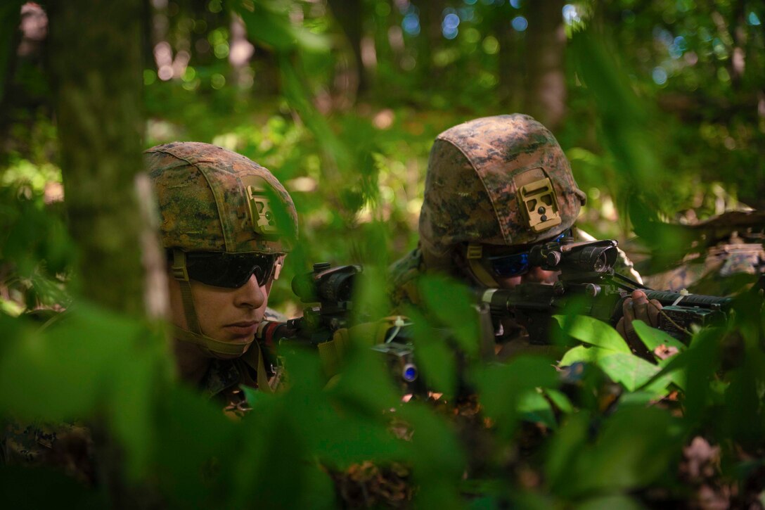 Two Marines point their weapons in a wooded area.