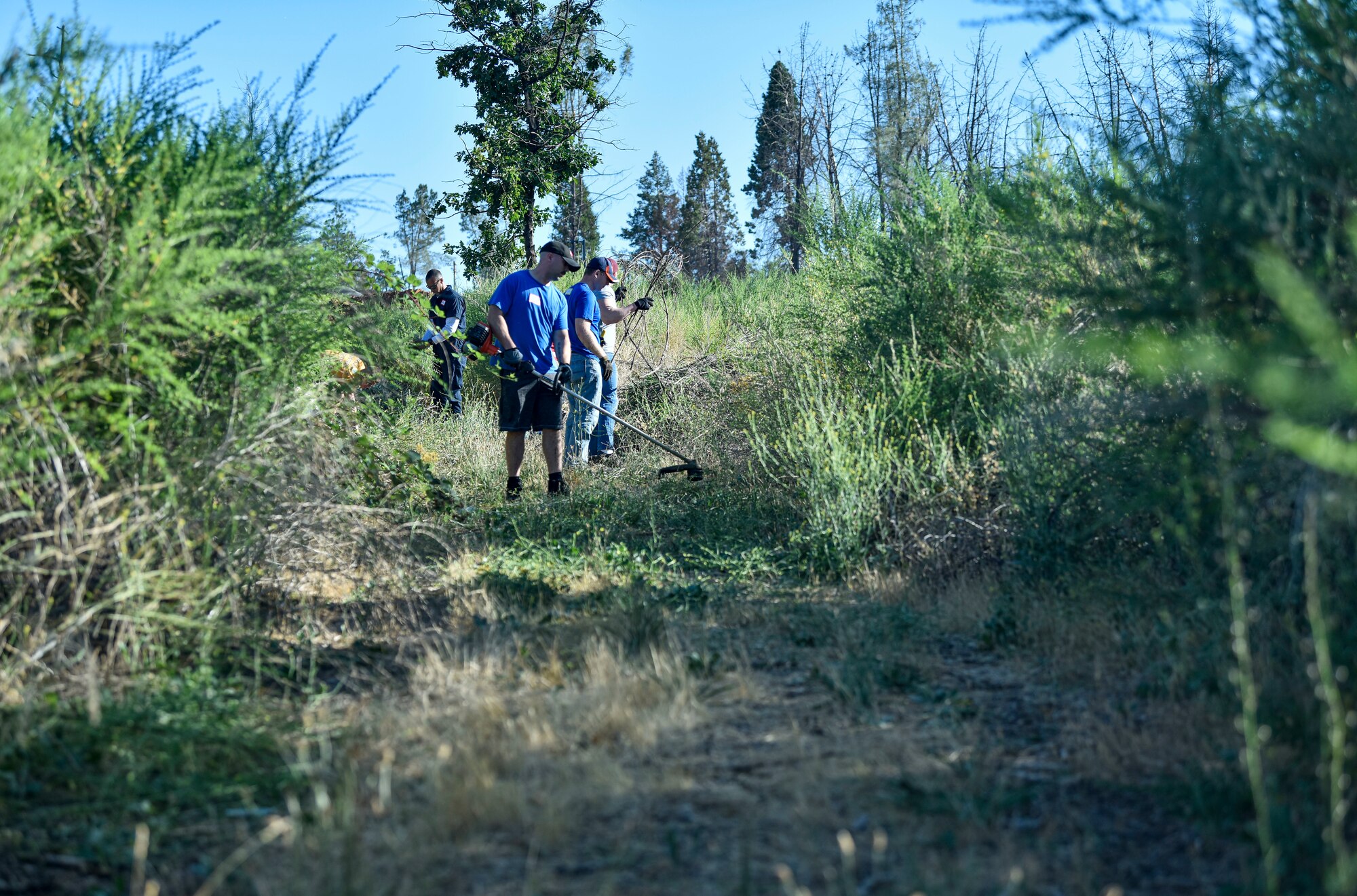 Airmen volunteers from Beale Air Force Base weed whack and clear weeds and brush, June 25, 2021, in Paradise, California.