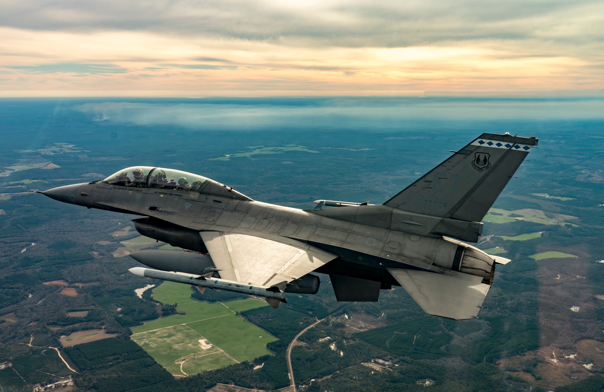 Falcon in Flight