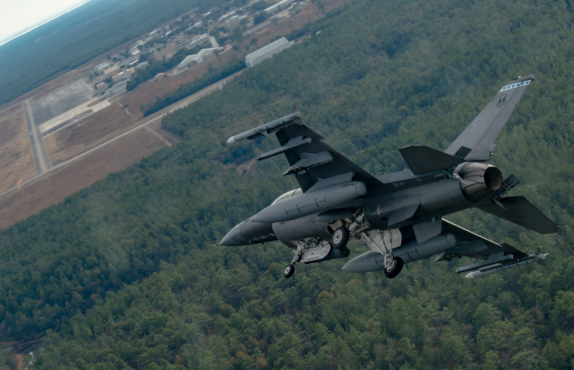 Falcon in Flight