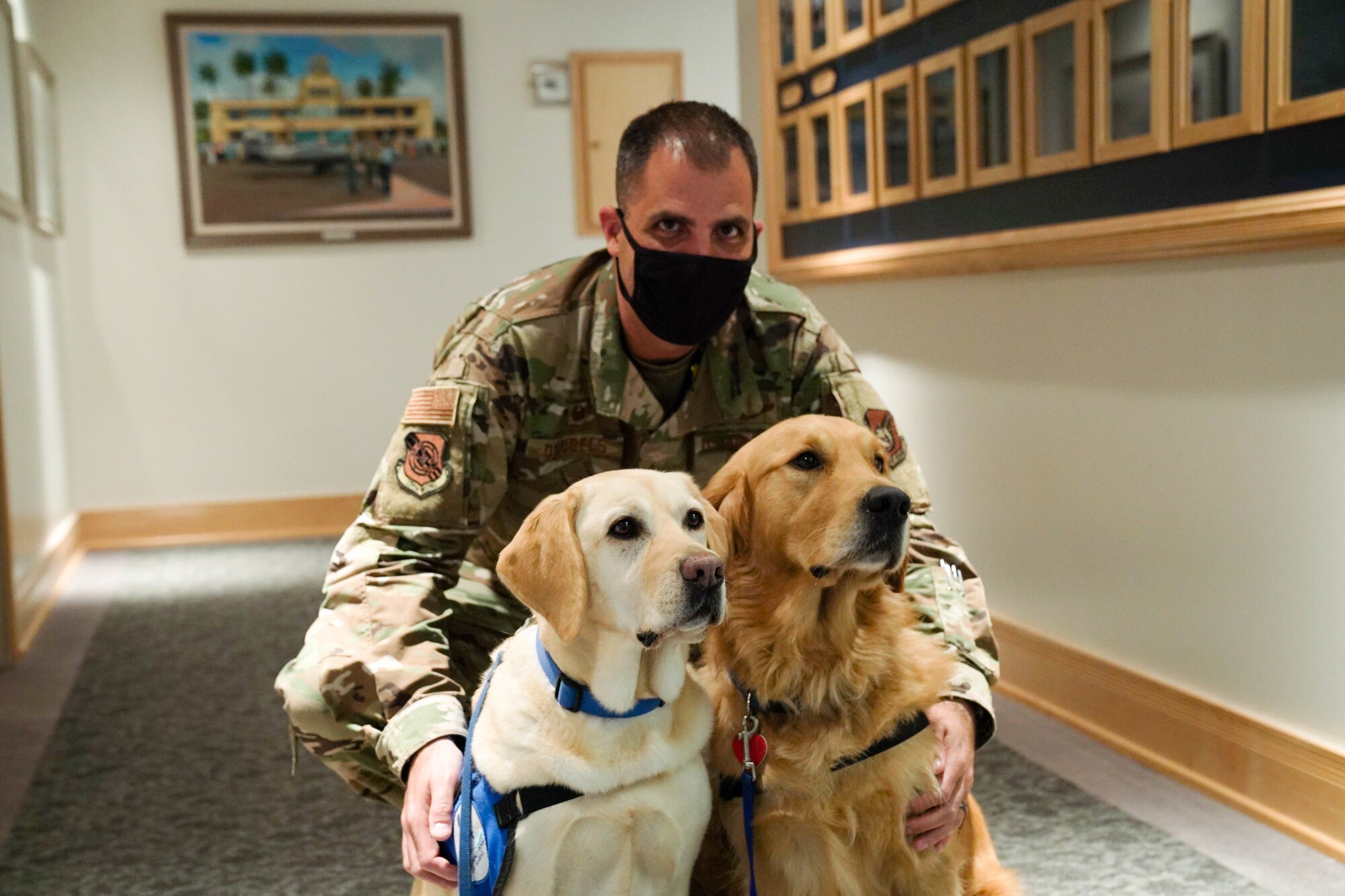 Col. Daniel Dobbels, 15th Wing commander, met with therapy dogs Sampson and Sadie during a visit at Joint Base Pearl Harbor-Hickam, Hawaii, Feb. 19, 2021. Therapy dogs go through extensive training to become certified to visit schools, hospitals and other facilities to provide comfort to those who need it. (U.S. Air Force photo by Airman 1st Class Makensie Cooper)