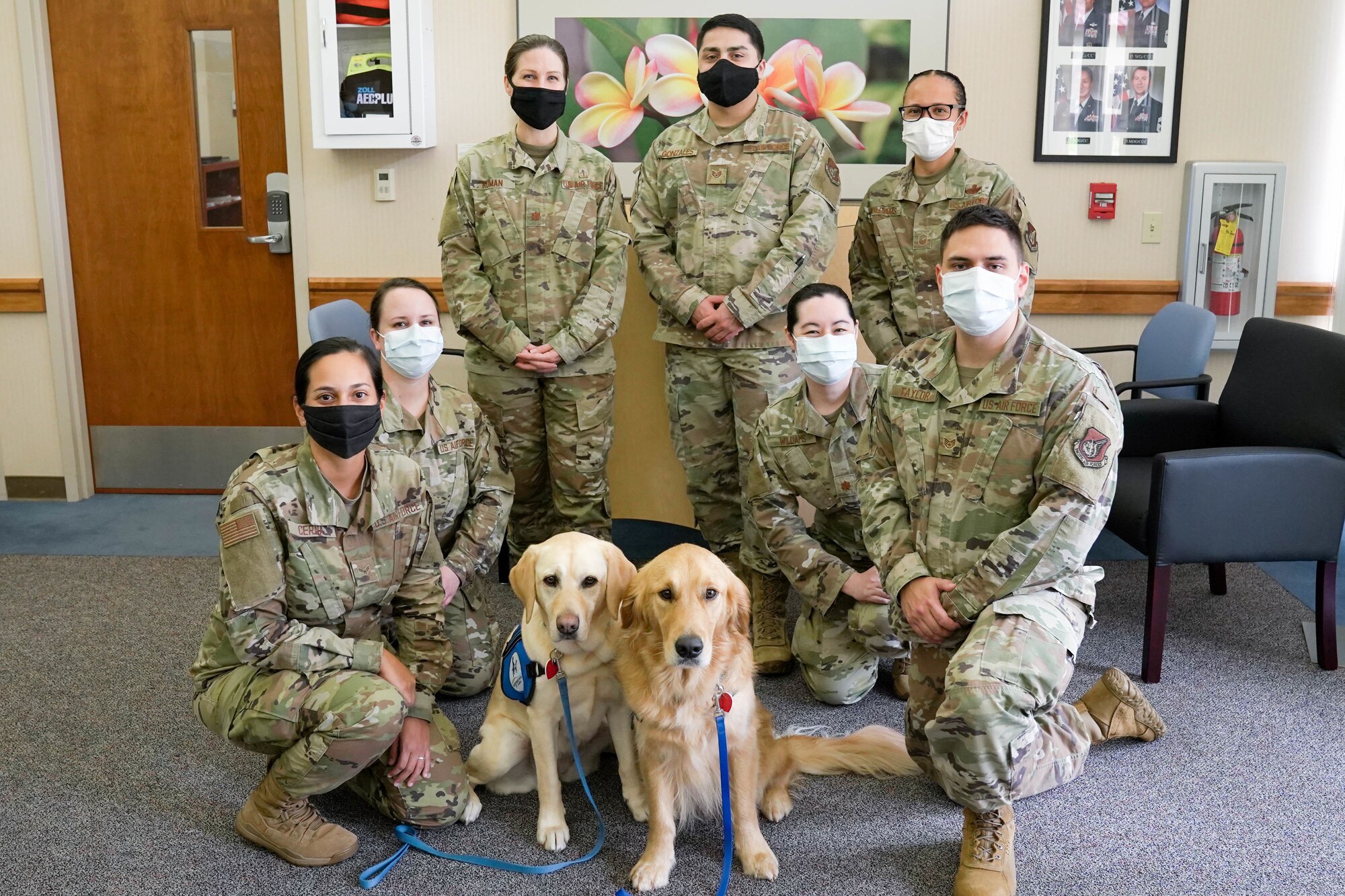 15th Medical Group, Mental Health Clinic airmen pose for a photo with Sadie and Sampson, therapy dogs from Assistance Dogs of Hawaii at Joint Base Pearl Harbor-Hickam, Hawaii, Feb. 19, 2021. Therapy dogs go through extensive training to become certified to visit schools, hospitals and other facilities to provide comfort to those who need it. (U.S. Air Force photo by Airman 1st Class Makensie Cooper)