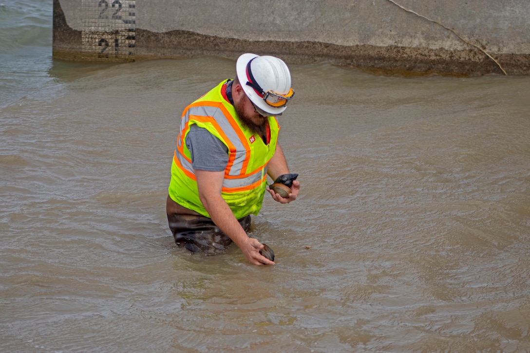 Lake Bardwell Spillway Dewater