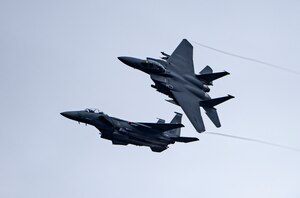 Liberty Wing eagles in action