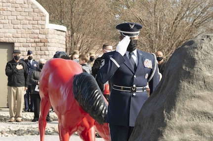 An Honor Guard Airman Salutes