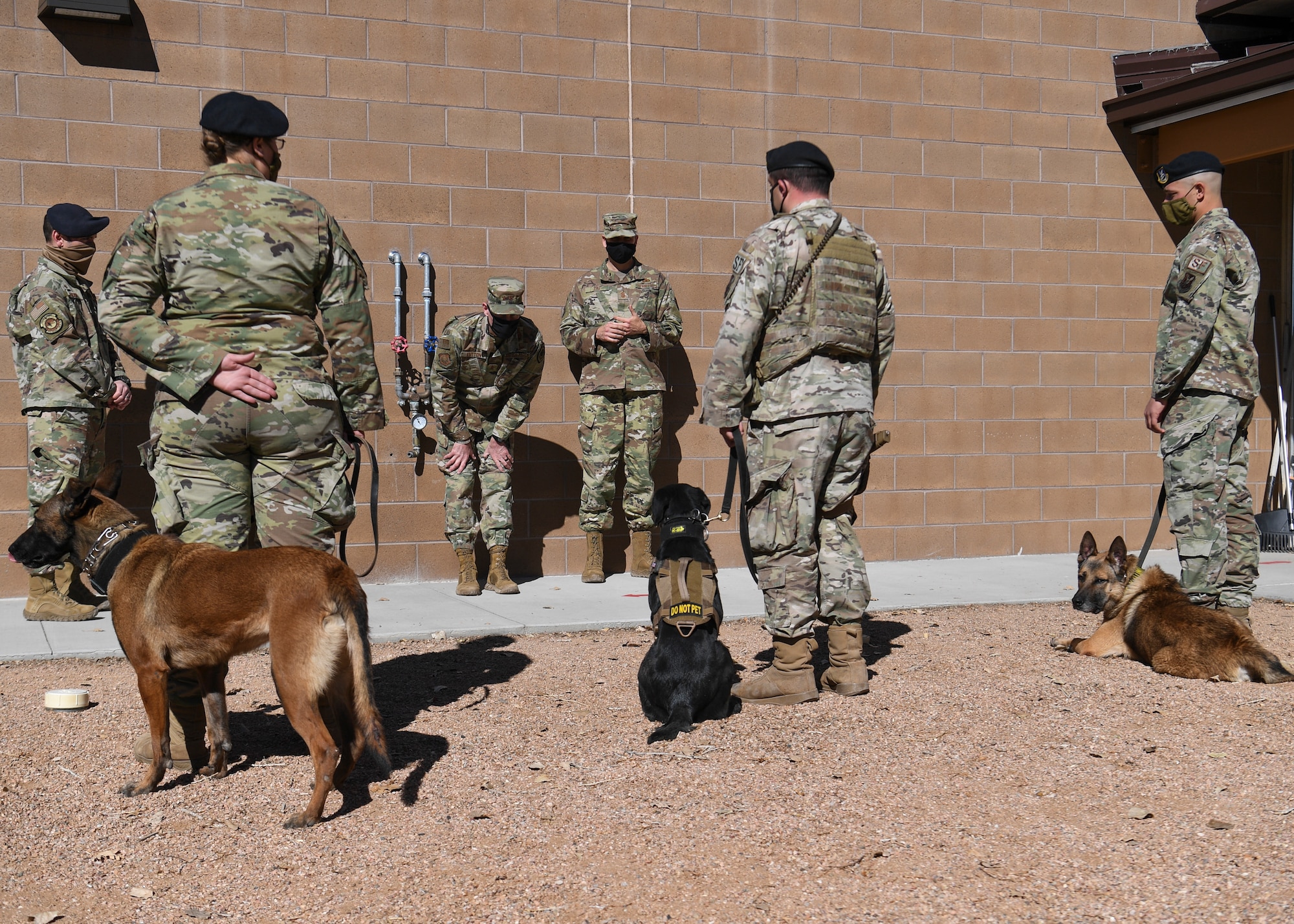 U.S. Air Force Maj. Gen. Michael J. Lutton, 20th Air Force commander, meets several military working dogs.