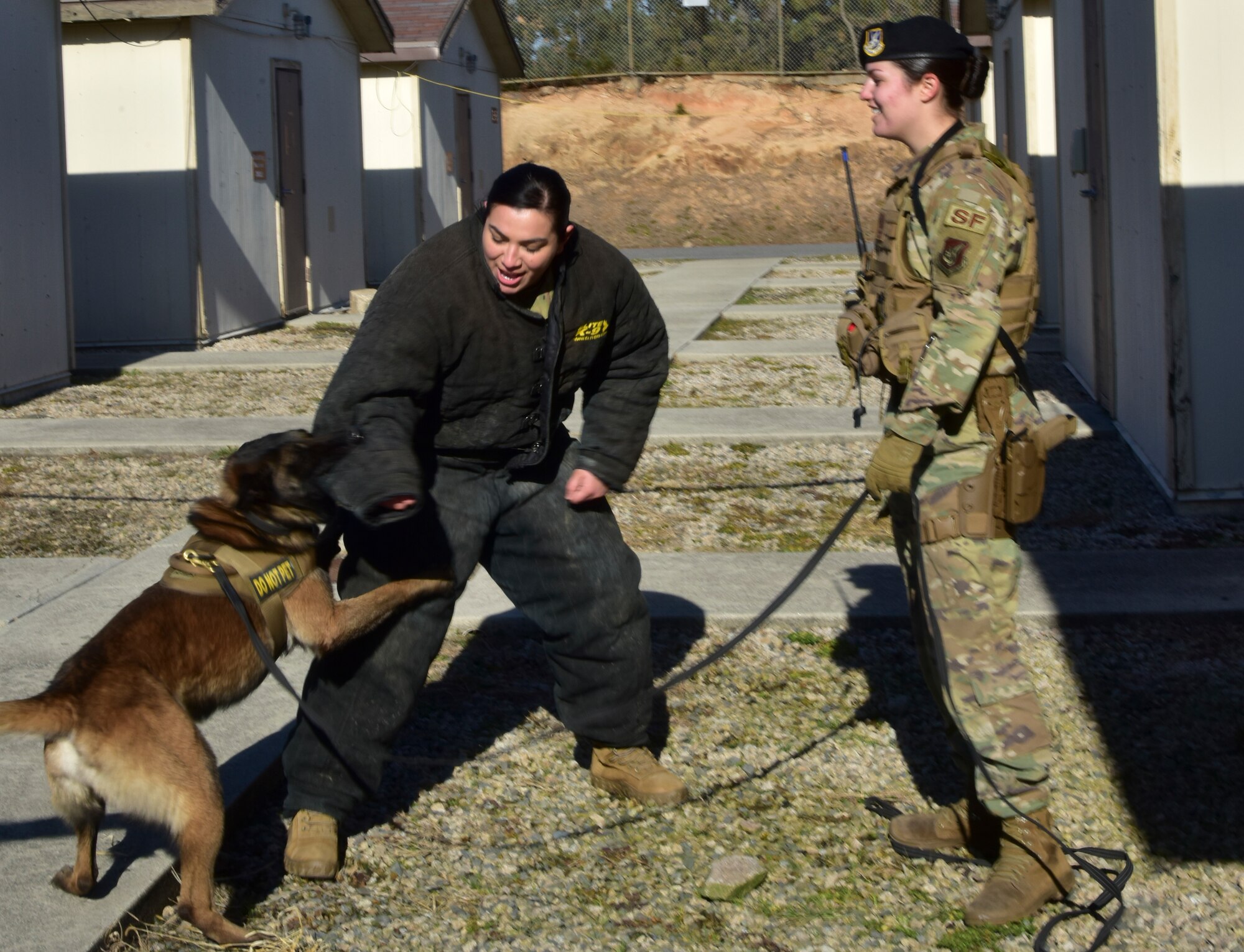 Wolf Pack celebrates Women’s History Month: MWD edition